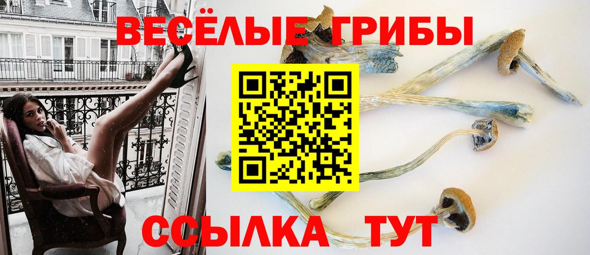 Галлюциногенные грибы мицелий Нарьян-Мар