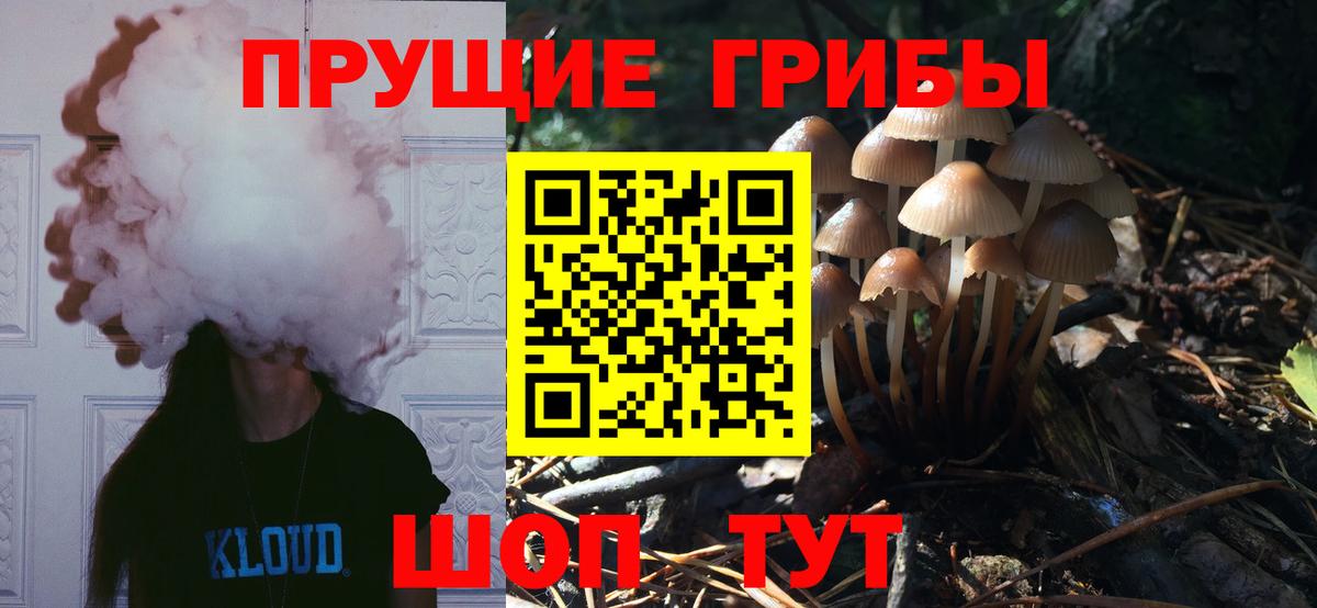 Нарьян-Мар  Псилоцибиновые грибы Psilocybe  Вход с VPN 